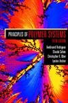 Principles of Polymer Systems,Used