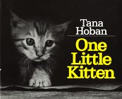 One Little Kitten,Used