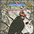 Condors/ Condors: Animals That Live In The Mountains = Animales De Las Montanas (Spanish Edition),New