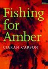 Fishing for Amber,Used