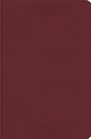 Holy Bible: New King James Version Burgundy LeatherSoft Giant Print Reference (Classic),Used