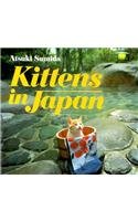 Kittens in Japan,Used