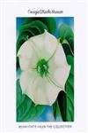 Georgia O'Keeffe Museum: Highlights Of The Collection,Used