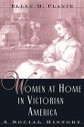 Women At Home In Victorian America: A Social History,Used