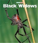 Black Widows (Naturebooks),Used