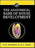 The Anatomical Basis of Mouse Development,Used