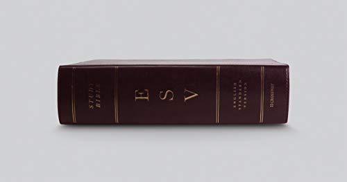 ESV Study Bible (TruTone, Burgundy/Red, Timeless Design),Used