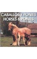 Caballos Y Ponies/Horses & Ponies (Spanish Edition),New