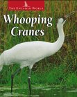 Whooping Cranes (The Untamed World),Used