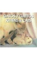 Gatos Y Gatitos/Kittens & Cats (Spanish Edition),Used