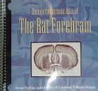 Chemoarchitectonic Atlas of the Rat Forebrain,Used