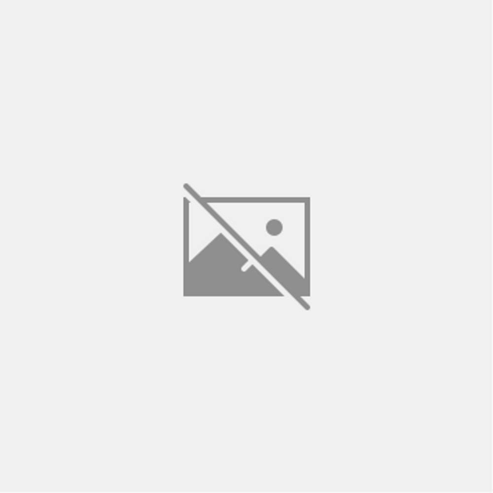 Assessing and Teaching Reading Composition and PreWriting, K3, Vol. 1,Used