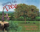 Starting Life: Tree,Used
