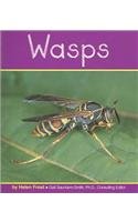 Wasps,Used