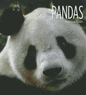 Pandas (Living Wild),Used