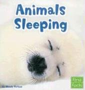 Animals Sleeping (Animal Behavior)