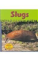Slugs (Ooeygooey Animals),Used