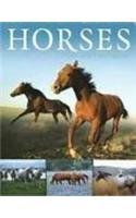 Horses: Myth and Fascination,Used