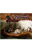 The Ojibwa: Wild Rice Gatherers (Blue Earth Books: America's First Peoples),Used