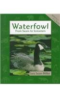 Waterfowl: From Swans to Screamers (Animals in Order),Used