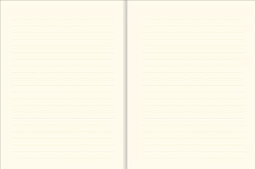 Japanese Screen Journal (Notebook, Diary) (New Journals),Used