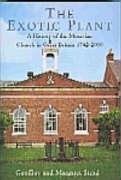 The Exotic Plant: A History of the Moravian Church in Britain, 17422000,Used