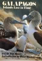 Galapagos: Island,Used