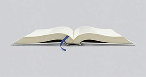 ESV Single Column Journaling Bible, Artist Series (Jake Weidmann, Dwelling Place),Used