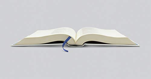 ESV Single Column Journaling Bible, Artist Series (Jake Weidmann, Dwelling Place),Used