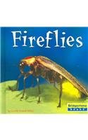 Fireflies (WORLD OF INSECTS)