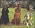 Just Setters,Used