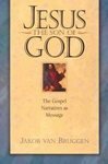 Jesus the Son of God: The Gospel Narratives As Message,New