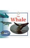 The Whale (Life Cycles),Used