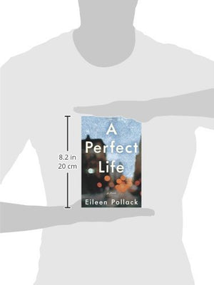 A Perfect Life: A Novel,Used