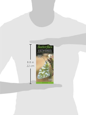 Butterflies of Central & Northern California: A Guide to Common & Notable Species,New