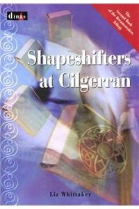 Shapeshifters at Cilgerran,Used