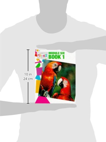 Module 6 Pupils' book 1 (Cambridge Primary Mathematics),Used