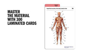 Anatomy Flashcards