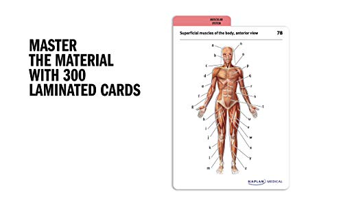 Anatomy Flashcards