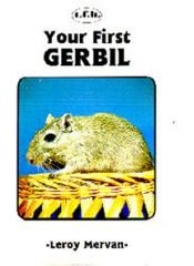Your First Gerbil (Your First Series),Used