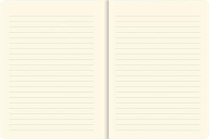 Watercolor Succulents Journal (Diary, Notebook),Used