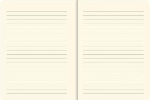 Watercolor Succulents Journal (Diary, Notebook),Used