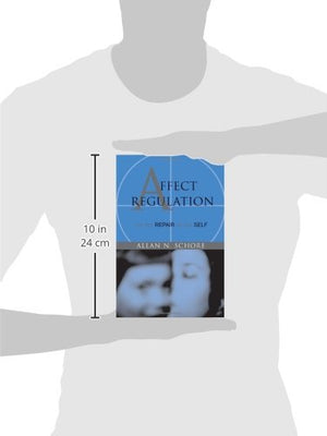 Affect Regulation And The Repair Of The Self (Norton Series On Interpersonal Neurobiology)