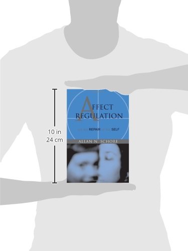 Affect Regulation And The Repair Of The Self (Norton Series On Interpersonal Neurobiology)