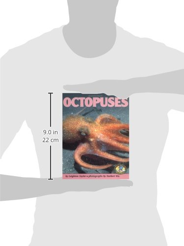 Octopuses (Early Bird Nature Books),Used