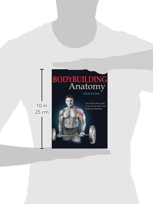 Bodybuilding Anatomy,New