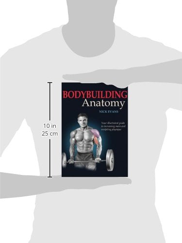 Bodybuilding Anatomy,New