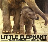 Little Elephant,Used