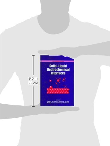 SolidLiquid Electrochemical Interfaces (ACS Symposium Series),Used