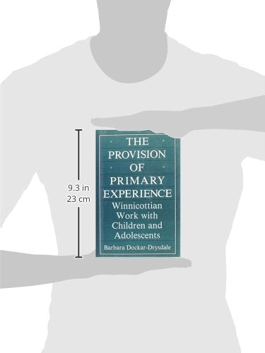 The Provision of Primary Experience: Winnicottian Work With Children and Adolescents,Used